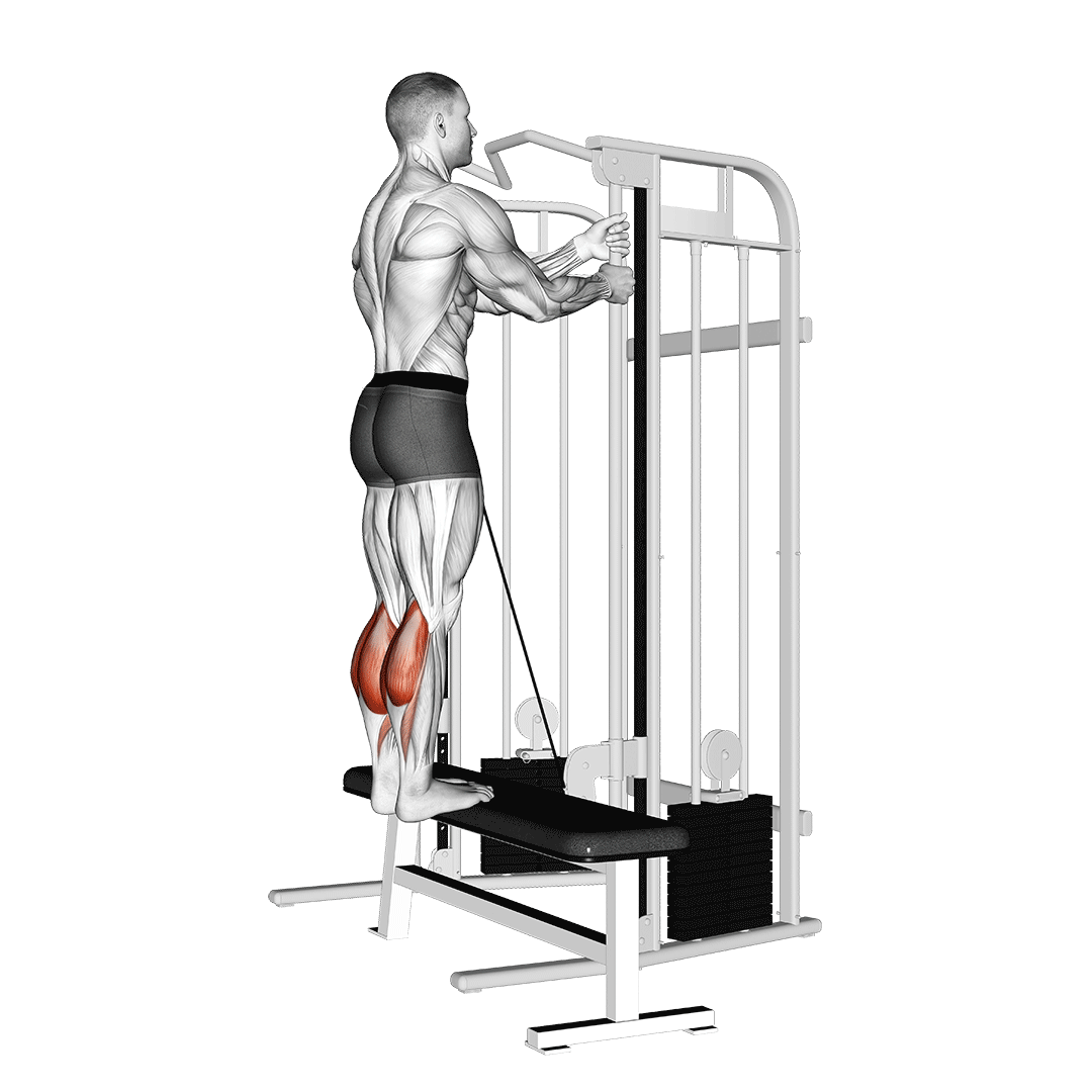 What are the benefits of a standing calf raise machine? (Learn how it helps sculpt strong lower legs)