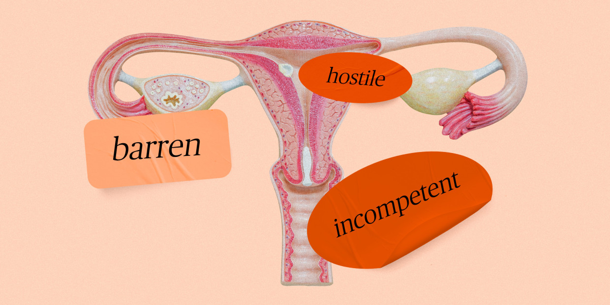 What is a hostile womb exactly? (Understand its impact on fertility and what you can do now)