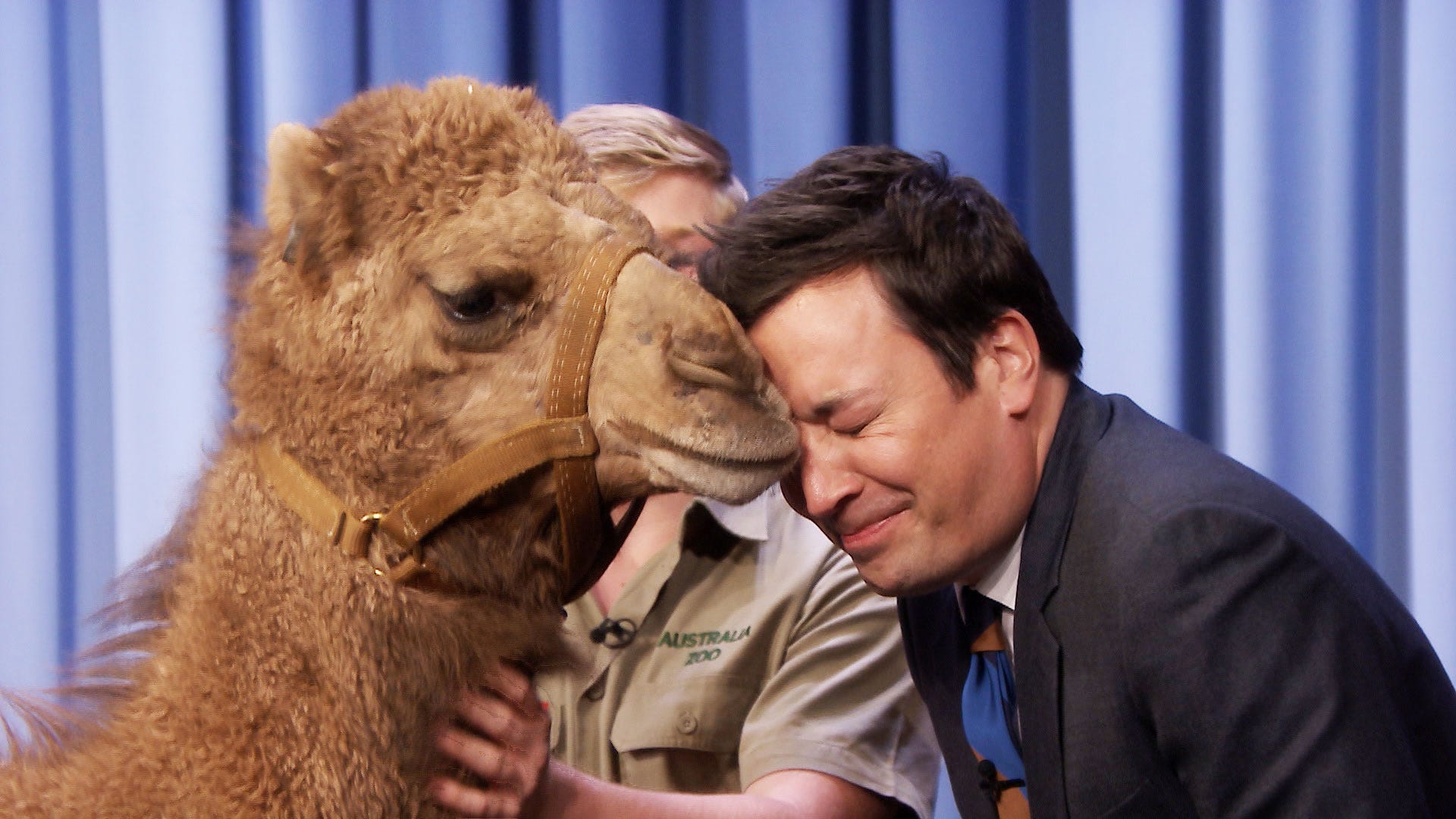 Is a camel toe sexy? Get the inside scoop on opinions from all sides of this fashion debate.