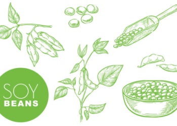 Eat soy brans: Why? (Benefits)