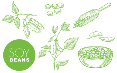 Eat soy brans: Why? (Benefits)