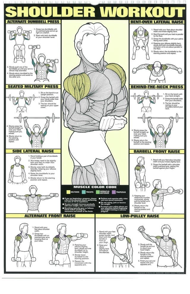 How to make your shoulder exercise chart effective? Learn these top workout tips now.