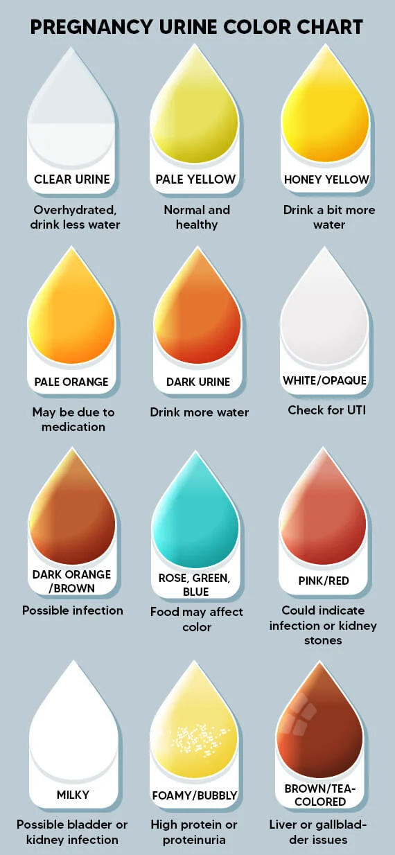 Color early signs of pregnancy urine: What different shades can tell you early on.