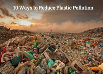 Why pick green glass bottle water? Its healthier for you and kinder to the planet too.