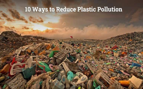 Why pick green glass bottle water? Its healthier for you and kinder to the planet too.