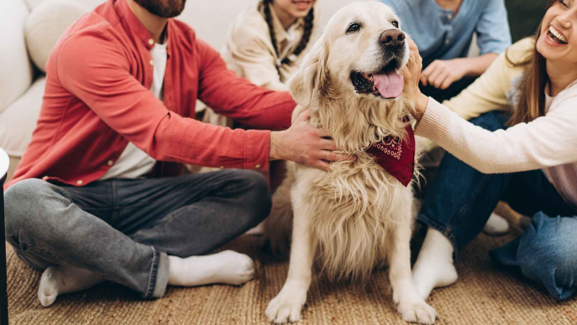 Which are the top best emotional support animals? Get expert tips on finding a loving and supportive furry friend for life.