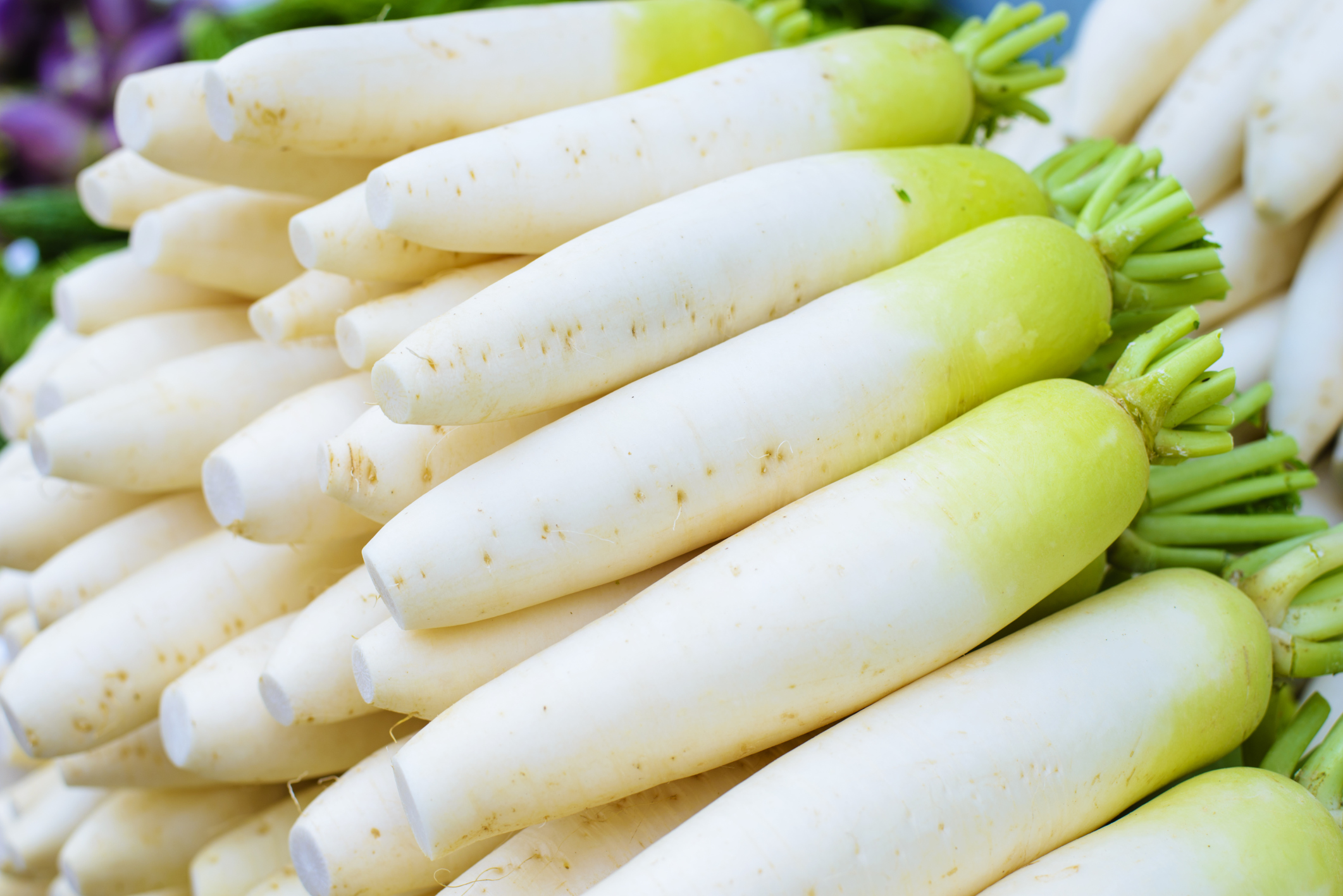 Cooking with Daikon vs Turnip: Are They Really So Different? Lets Settle the Debate for Good!