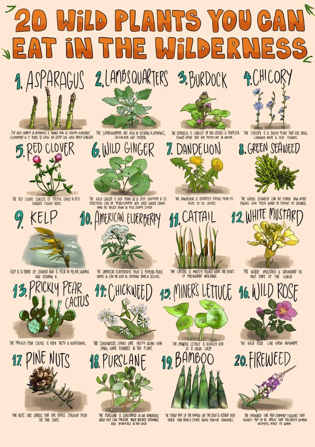 What kinds of edible leaves can I eat? (Here are some easy to find and tasty options for you)