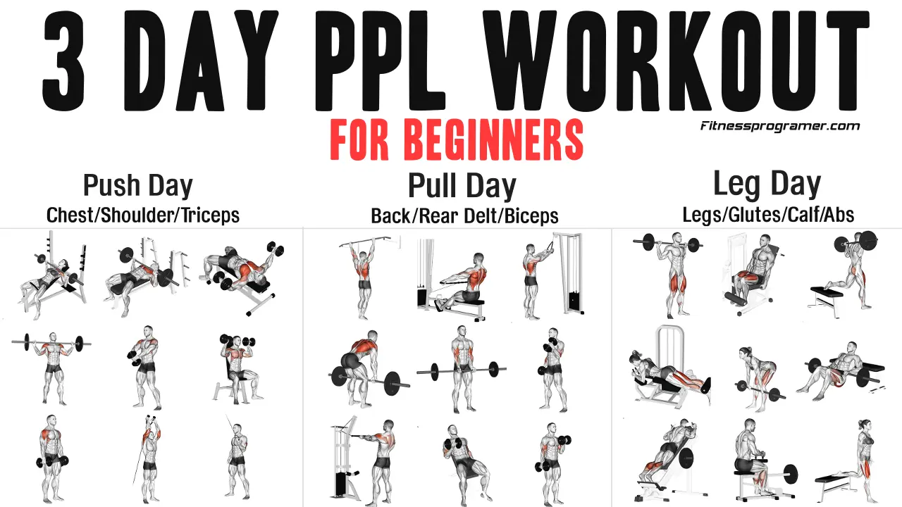 Get Stronger with a Simple 3 Day Push Pull Legs