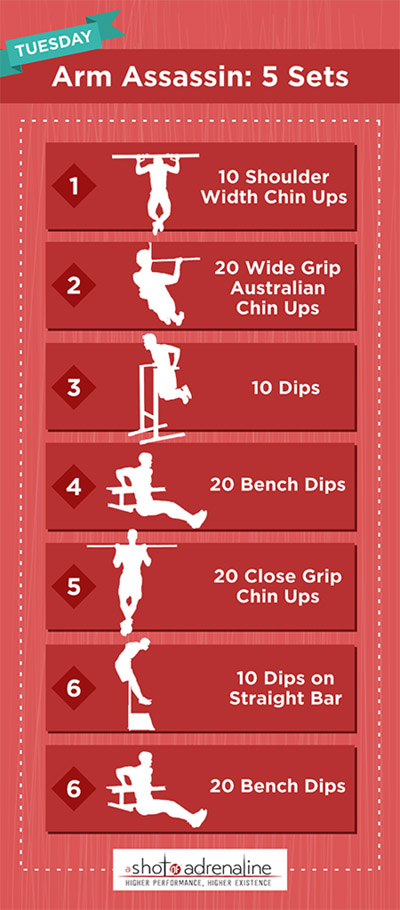 How do you start with a calisthenics training program pdf? Follow these simple steps for quick results.