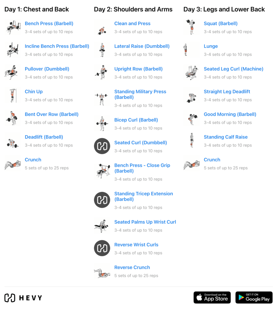 Full Body 6 Day Dumbbell Workout: Build Muscle Fast!