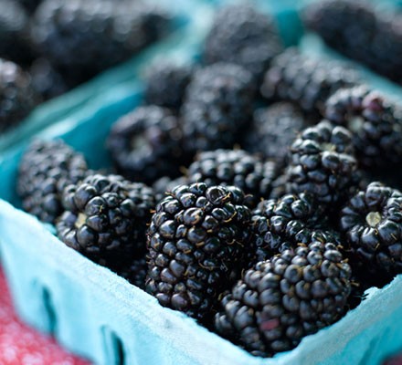 Best Uses for Blackberry Fruit Leaves: Recipes & Remedies