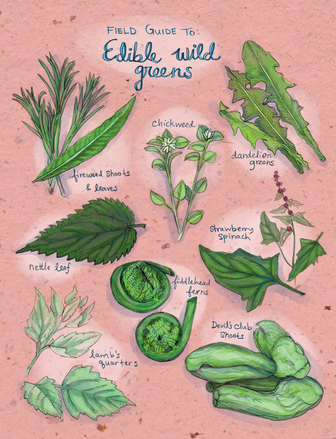 What kinds of edible leaves can I eat? (Here are some easy to find and tasty options for you)