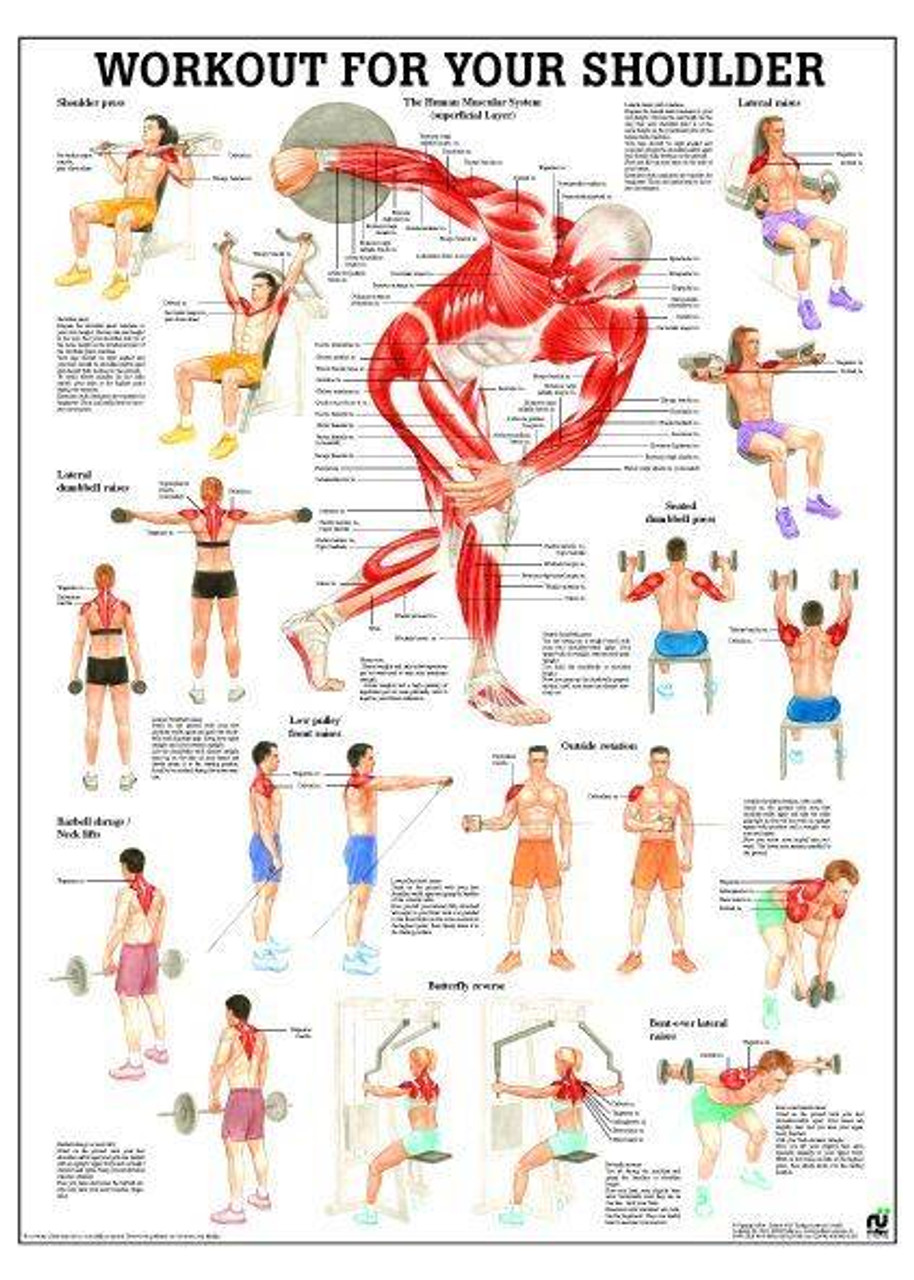 How to make your shoulder exercise chart effective? Learn these top workout tips now.