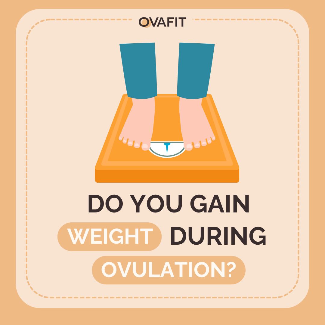 Do you gain weight while ovulating? Lets understand why this common thing might happen to you.