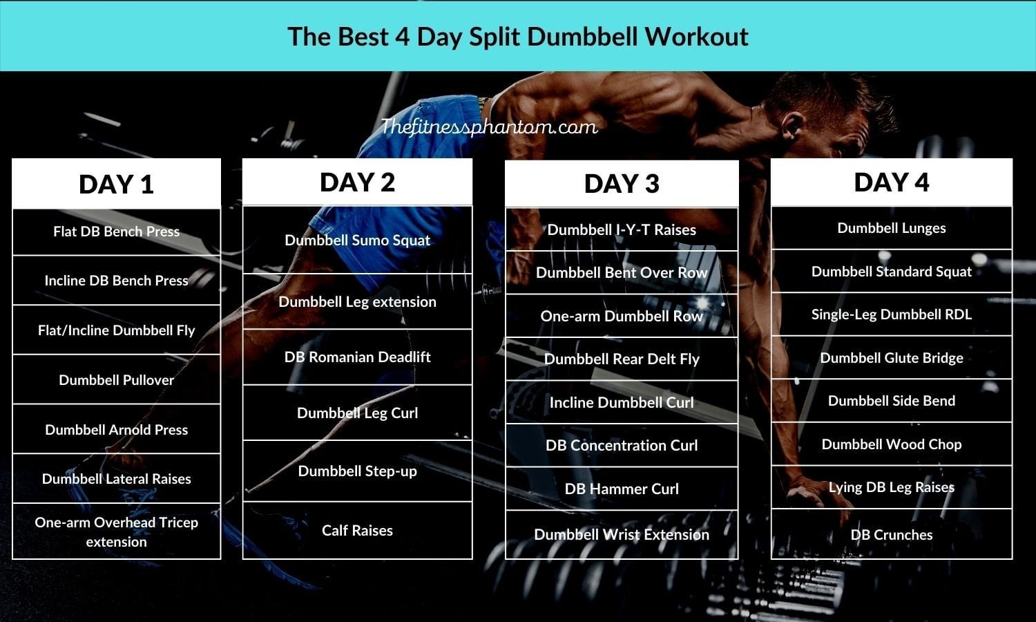 Which 4 day dumbbell workout plan is the best? We compare top choices to help you decide!