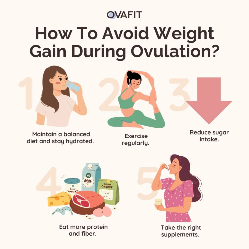 Do you gain weight while ovulating? Lets understand why this common thing might happen to you.