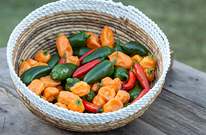 How to choose a perfect orange bell pepper? Follow these easy tips for the best selection.