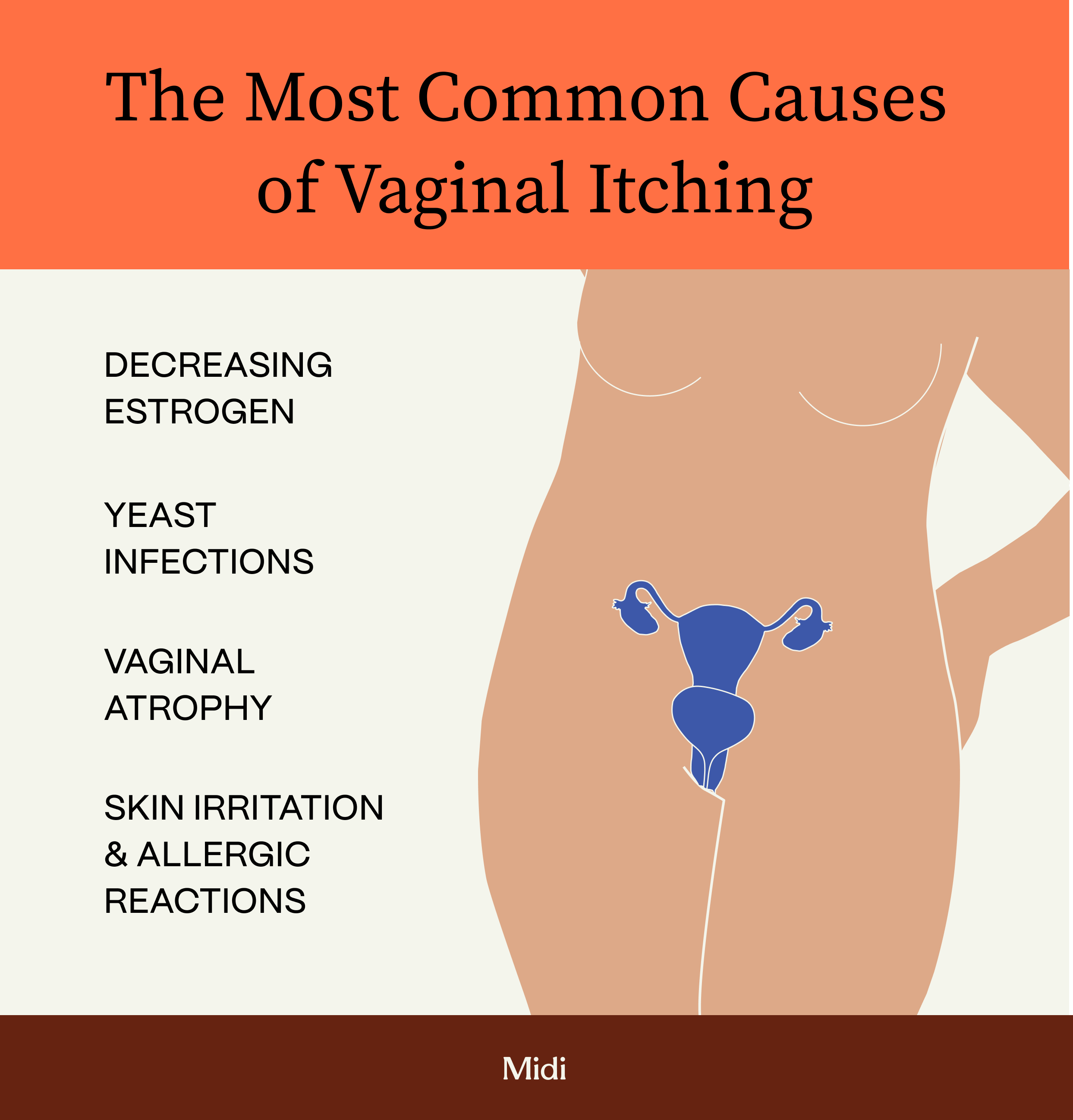 Seeking Solutions for Continuous Itching in Vagina with Odor? Top Remedies to Try Now.