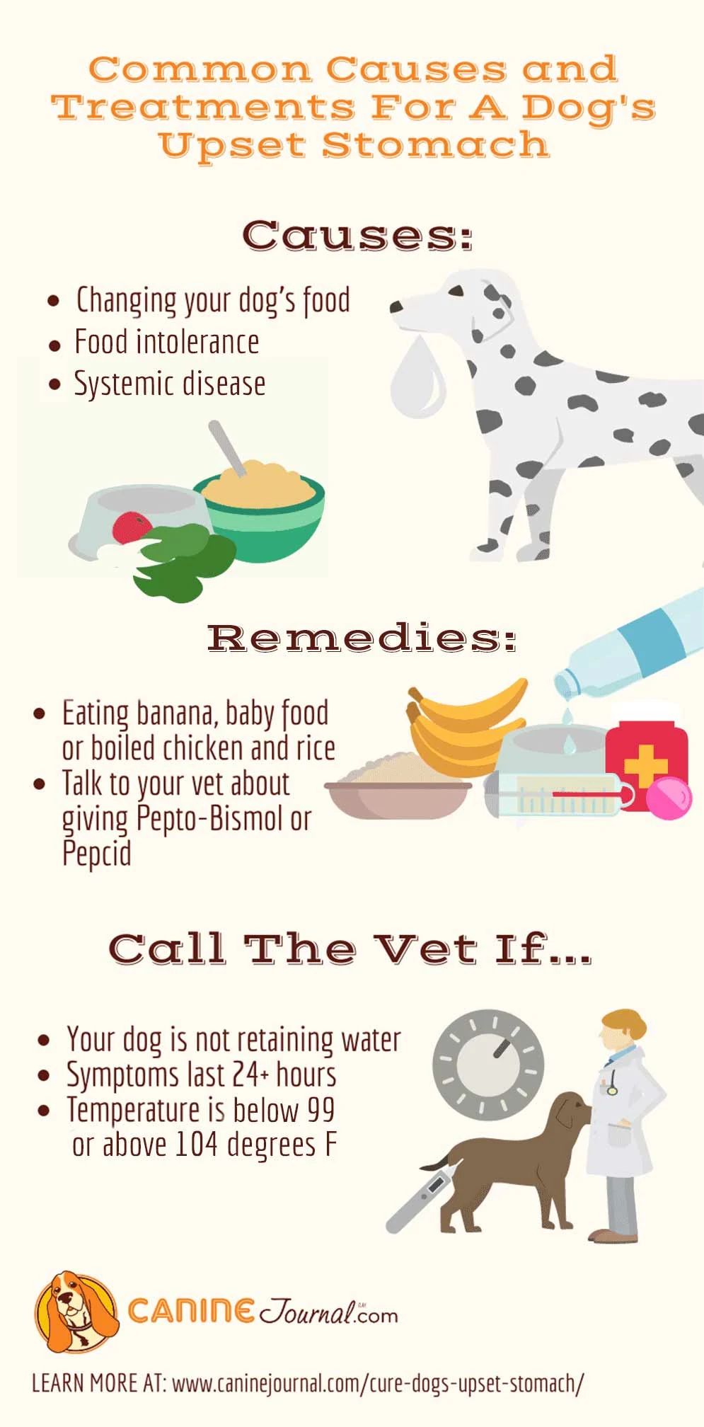 Home Remedies for Dog Bloated Stomach: Simple Tricks That Work