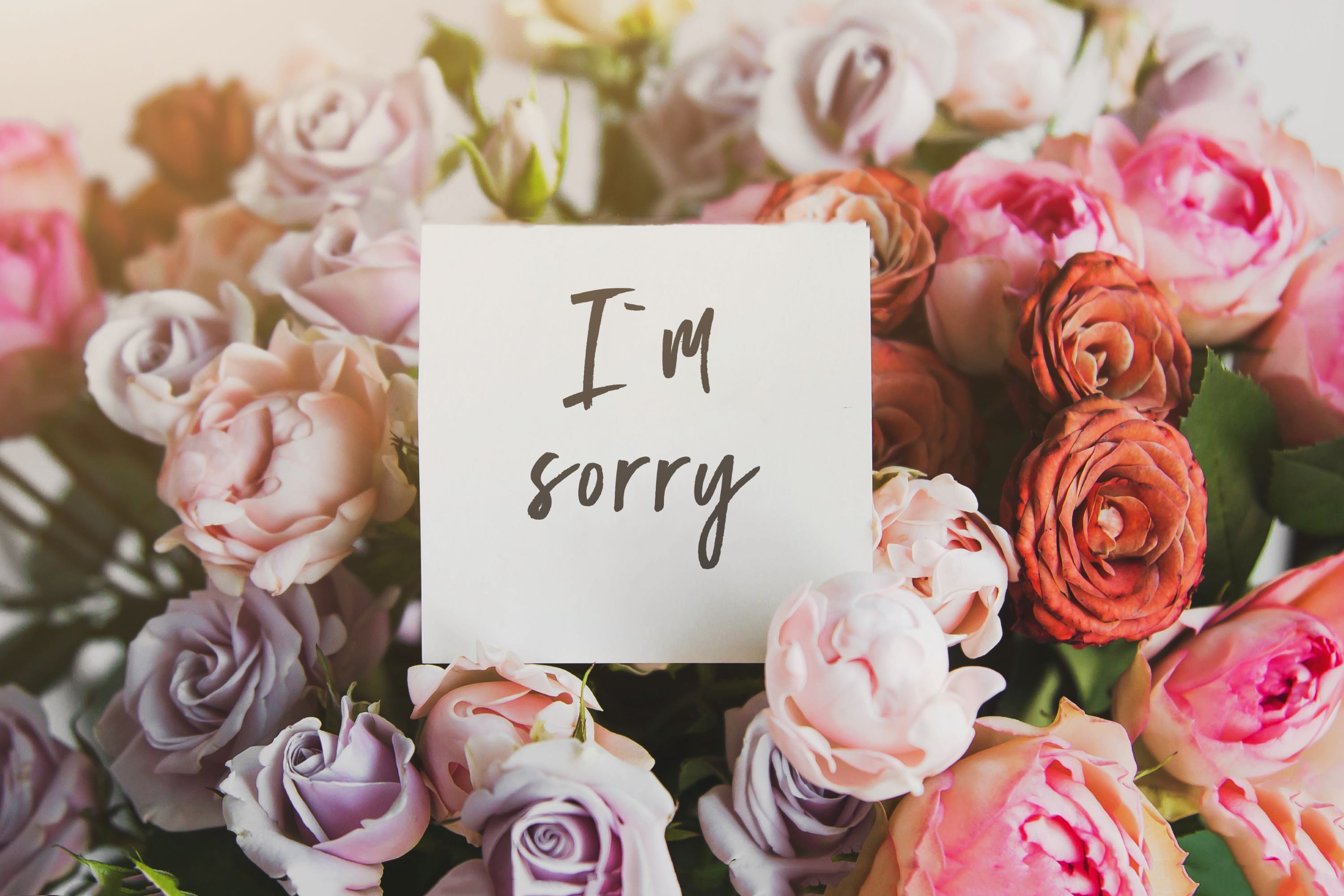 Say You’re Sorry <em>with</em> The Right Flowers
