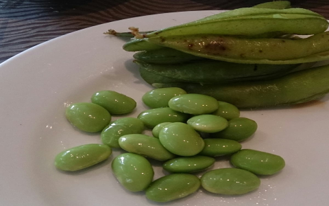 Is Edamame Healthy? Discover the Ultimate Nutrition Truth