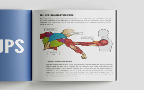 Get amazing results with a push pull legs workout routine pdf (Your simple path to fitness)