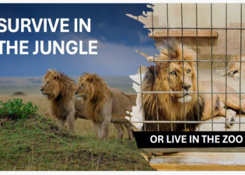 Is a camel toe sexy? Get the inside scoop on opinions from all sides of this fashion debate.