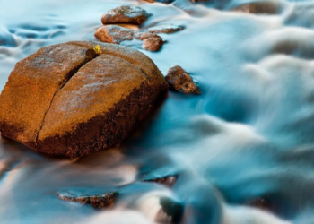 Is castor oil for boobs a safe option for you? (Understanding the simple facts and any risks)