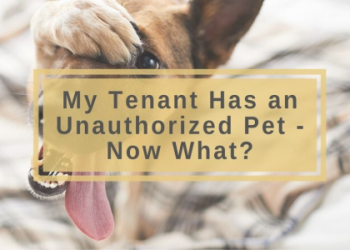 My cat died and I feel empty, why does it hurt so very much and how can I explain this big void inside me?