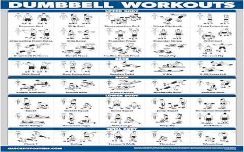 Which 4 day dumbbell workout plan is the best? We compare top choices to help you decide!