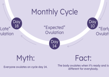 Do you gain weight while ovulating? Lets understand why this common thing might happen to you.