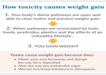 Got fatty liver and menstruation worries? (Here are easy tips to help you manage them better)