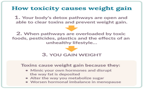 Got fatty liver and menstruation worries? (Here are easy tips to help you manage them better)