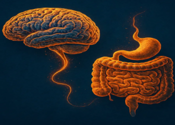 What Causes Stomach Bloating? Hidden Triggers, Gut Fixes, and the Truth Your Doctor Might Not Tell You