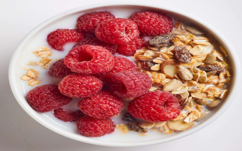 Why Try Best Breakfast to Boost Gut Health and Lose Weight? Easy Ideas Inside!